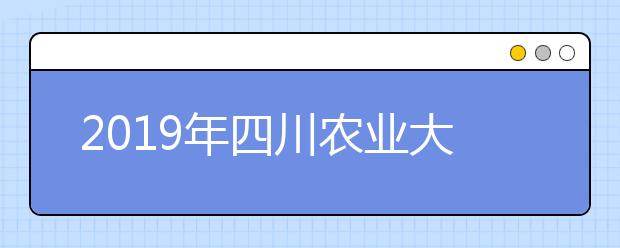 2019年四川农业大学美术类本科专业录取分数线