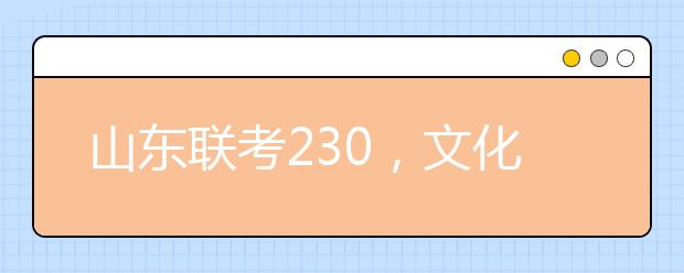山东联考230，文化分多少能上名校？