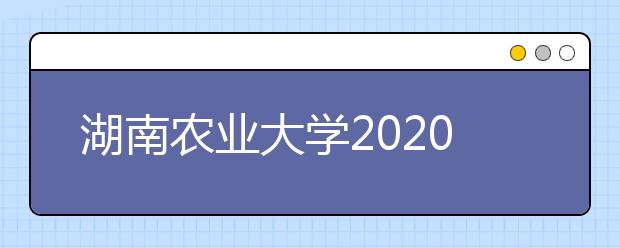 湖南农业大学2020年艺术类专业招生简章