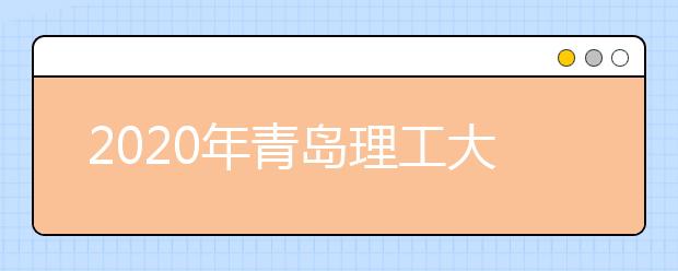 2020年青岛理工大学琴岛学院美术类招生专业与范围