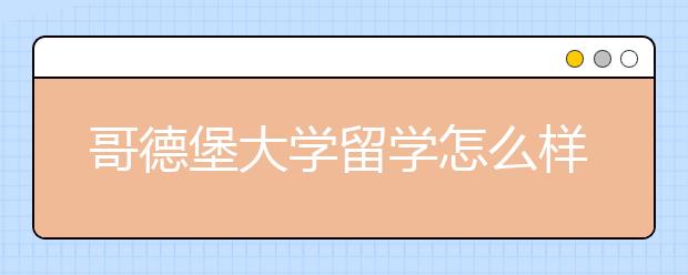 哥德堡大学留学怎么样