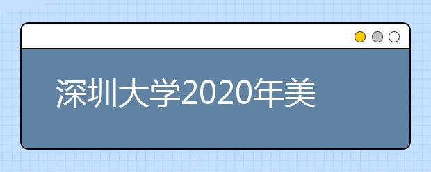 深圳大学2020年美术类本科专业招生简介