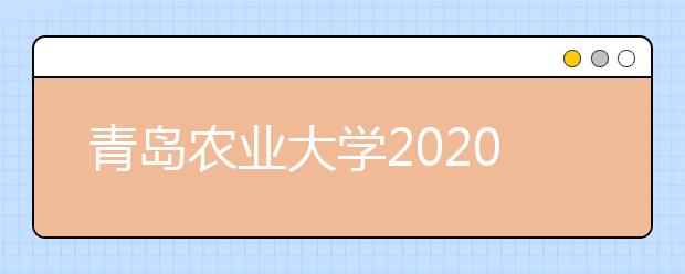青岛农业大学2020年普通高等教育招生章程