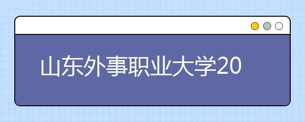 山东外事职业大学2020年数字媒体艺术(本科)招生简章