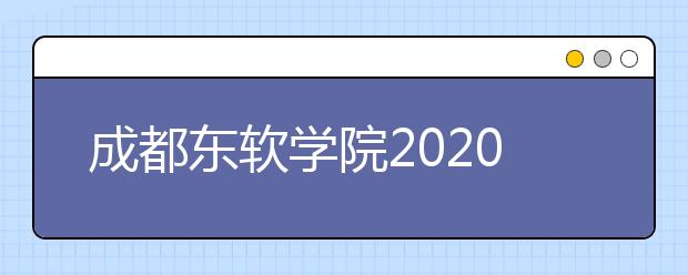 成都东软学院2020年招生章程