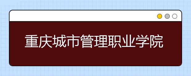 重庆城市管理职业学院2020年重庆市高职分类专科批（艺术类）缺额计划