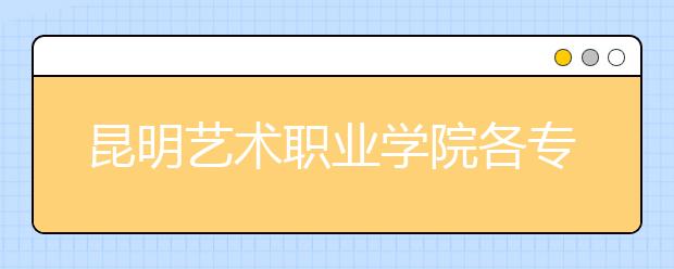 昆明艺术职业学院各专业一年学费多少钱