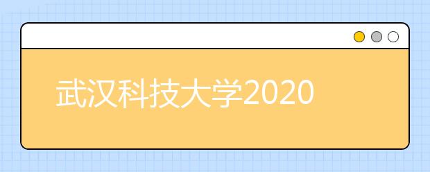 武汉科技大学2020年艺术类专业招生简章
