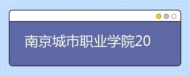 南京城市职业学院2020年普高招生章程(江苏)