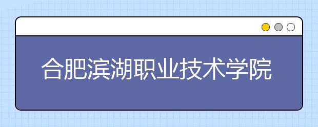 合肥滨湖职业技术学院2020年安徽省高职分专业招生计划