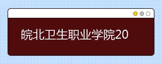 皖北卫生职业学院2020年安徽省高职分专业招生计划