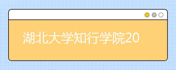 湖北大学知行学院2020年美术类本科招生计划