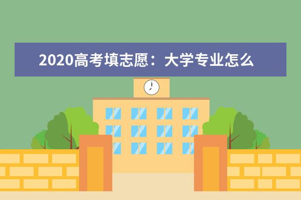 2020高考填志愿：大学专业怎么选？不要掉进大类招生下的“试验班”陷阱