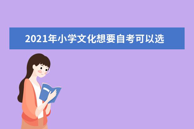 2021年小学文化想要自考可以选择什么专业？