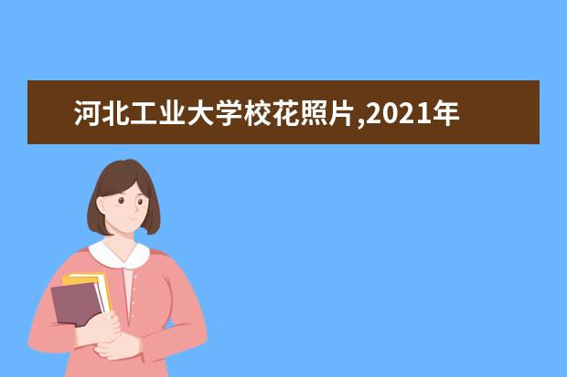 河北工业大学校花照片,2021年河北工业大学校花是谁(多图)