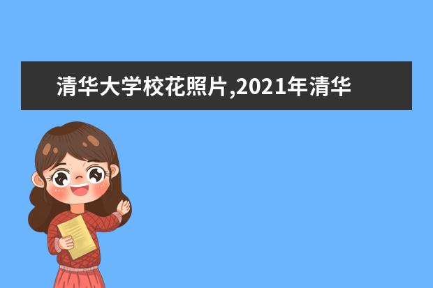 清华大学校花照片,2021年清华大学校花是谁(多图)