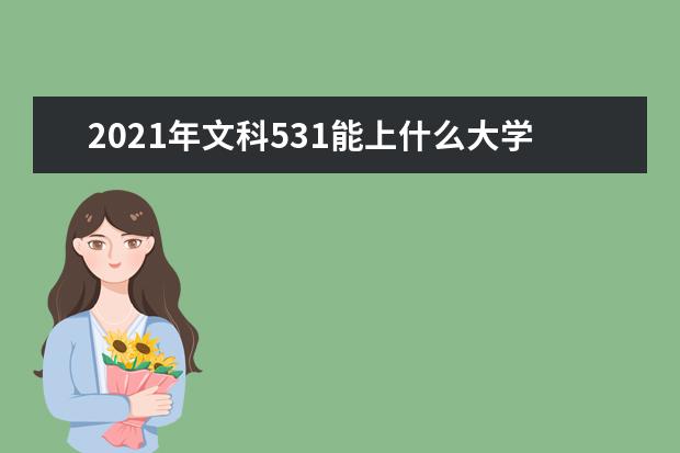 2021年文科531能上什么大学,高考文科531分能考什么大学(100所)