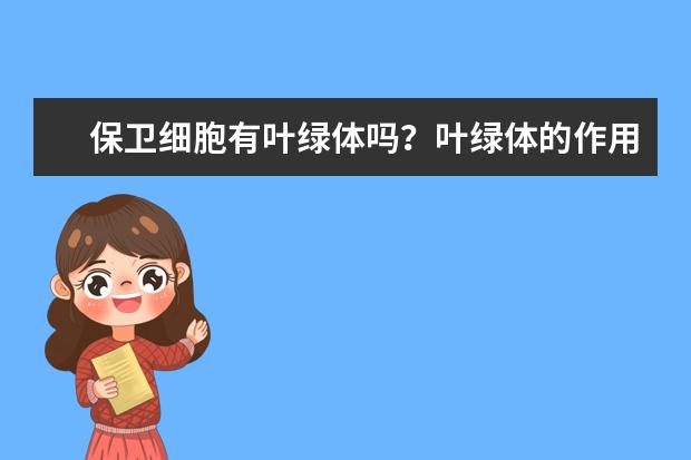 保卫细胞有叶绿体吗?叶绿体的作用是什么