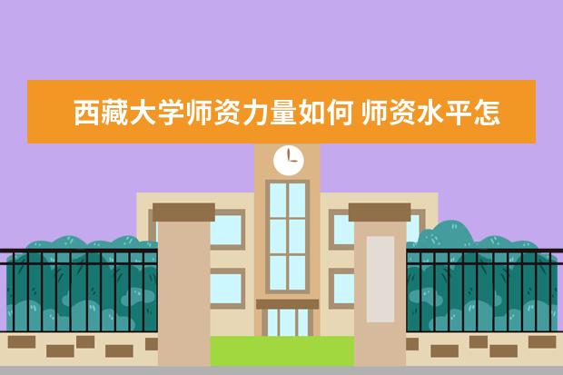 西藏大学师资力量如何 师资水平怎么样