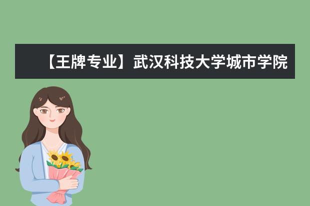 【王牌专业】武汉科技大学城市学院王牌专业有哪些