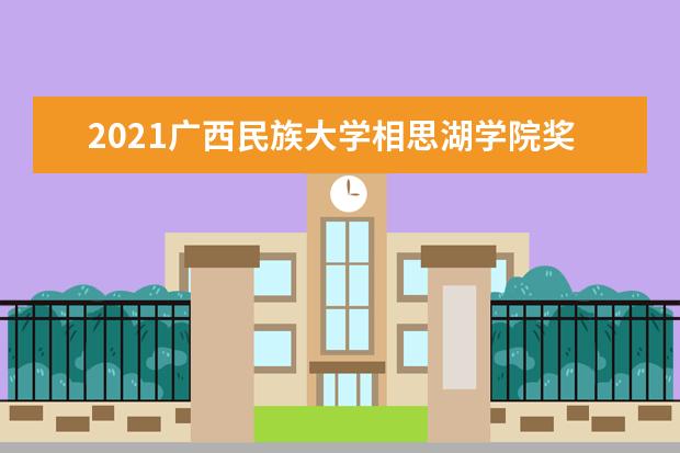 2021广西民族大学相思湖学院奖学金有哪些 奖学金一般多少钱?