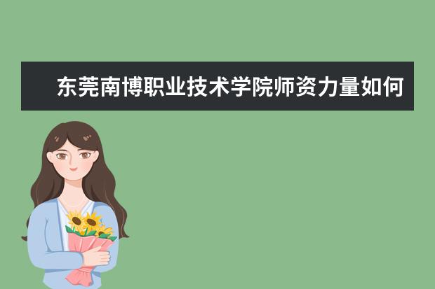 东莞南博职业技术学院师资力量如何 师资水平怎么样
