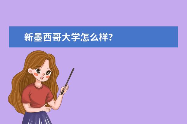 新墨西哥大学怎么样？