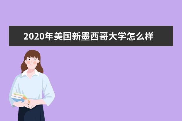 2020年美国新墨西哥大学怎么样