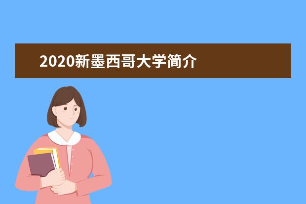 2020新墨西哥大学简介
