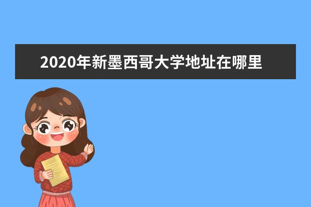 2020年新墨西哥大学地址在哪里