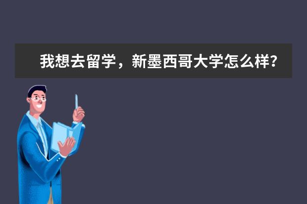 我想去留学，新墨西哥大学怎么样？给个意见呗