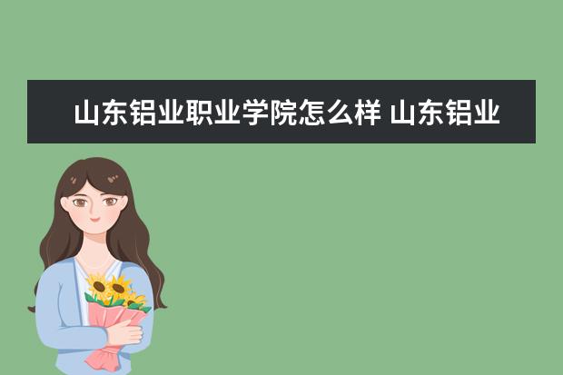 山东铝业职业学院怎么样 山东铝业职业学院简介
